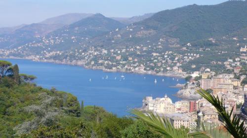 Rosmarino 2*
